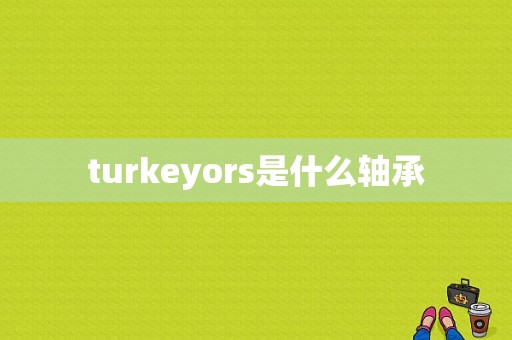 turkeyors是什么轴承